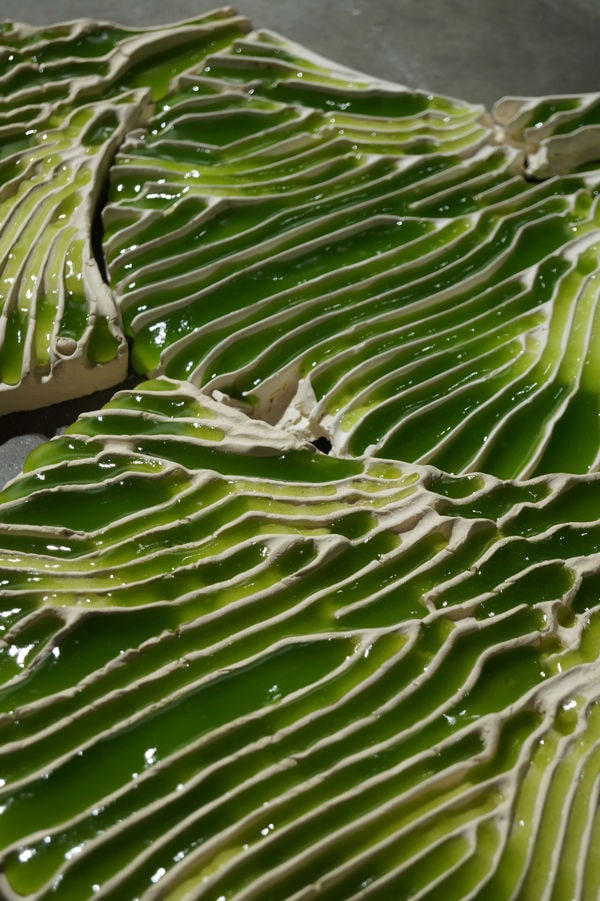 Top 100 Eco Trends in November