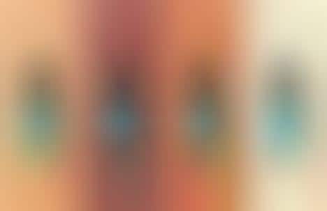 Cat-Friendly CBD Drops