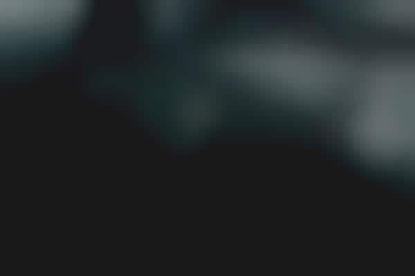 Electric Vehicle Software Updates