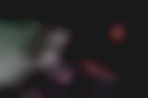 Haunted In-Car VR Entertainment