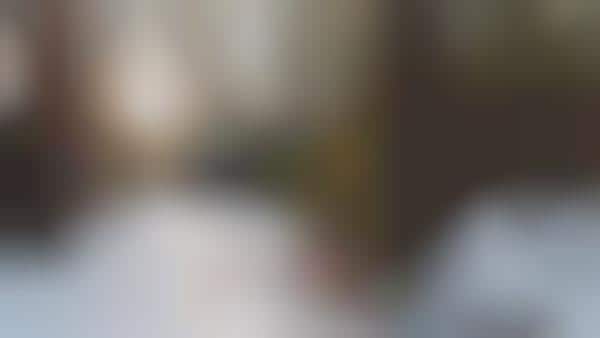Historic Californian Cabins