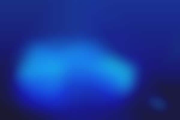 Immersive Color-Changing Shows