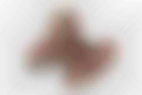 Random jordan shoe generator