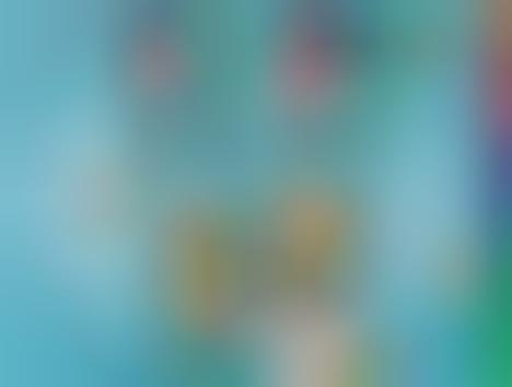 Llama Branded Granola Bars Chewy Granola Bars