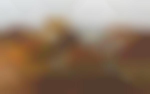 Take Home Thanksgiving Feasts Thanksgiving Feast