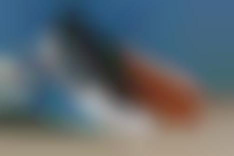 vans city trl review