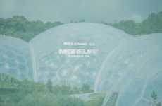 Rapper-Owned Cannabis Companies