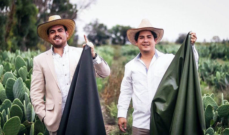 Cactus-Based Leather Alternatives