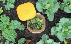 In-Ground Organic Waste Bins Article Thubnail