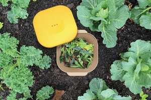 In-Ground Organic Waste Bins Article Thubnail