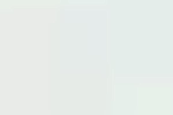 Open-Source Chip Designs : chip design project