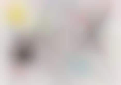 Cat-Friendly Advent Calendars