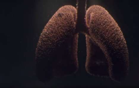 Lung Cancer Awareness Ads