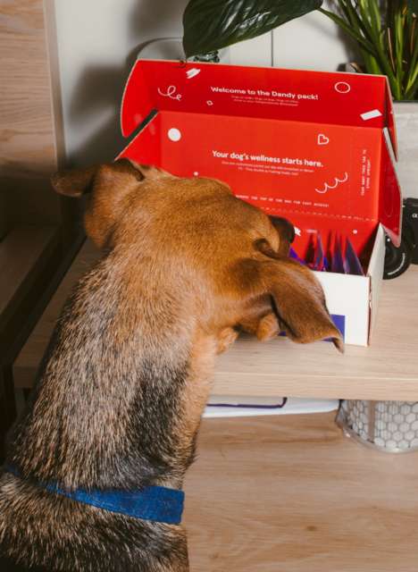 Customized Dog Supplements