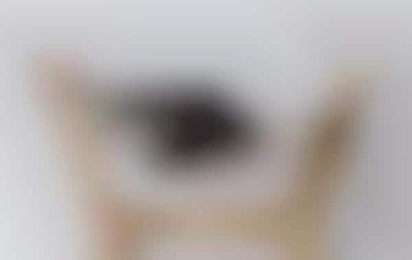 macrame hanging cat bed pattern