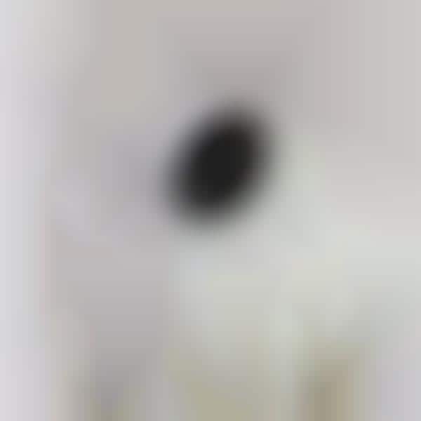 Voice Assistant-Connected Cameras