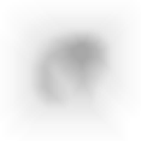 Seizure-Predicting AI Systems