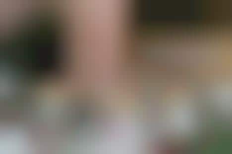 Giftable Holiday Candle Trios