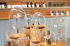 Modern Cannabis Dispensaries
