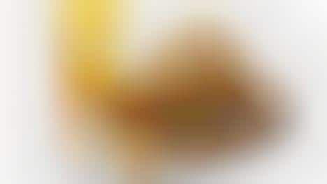 Sour Cream-Seasoned Chicken