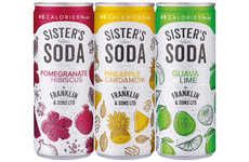 Craft Distiller-Inspired Sodas