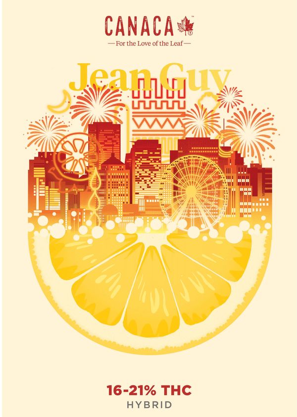 Top 100 Branding Trends in December