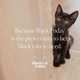 Black Cat Adoption Campaigns Image 2