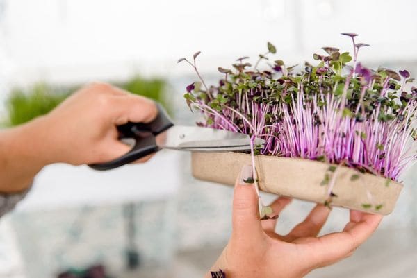 60 Gifts for DIY Lovers