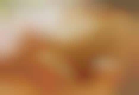 Reduced Bread Prices