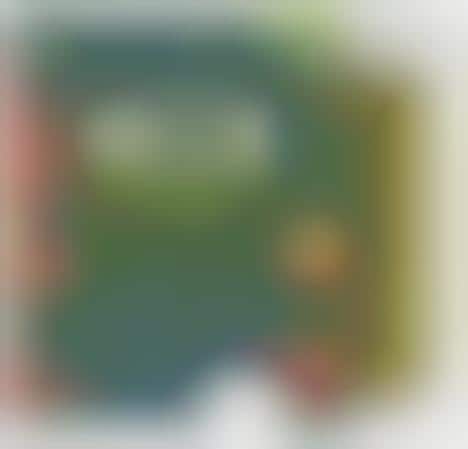 Alternative Sticky Rice Sausages