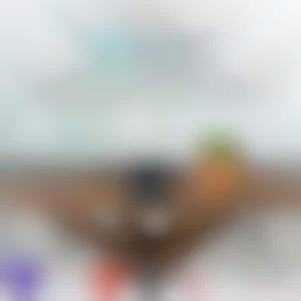 smart speaker battery