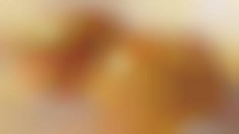 Crispy Fried Chicken Sandwiches