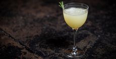 Sustainable Cocktail Menus Article Thubnail