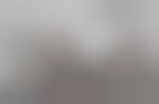 High-Fashion Social Media Campaigns