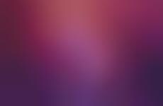 In-Feed Video Ad Campaigns