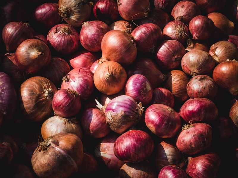 Cold-Pressed Onion Seed Oils