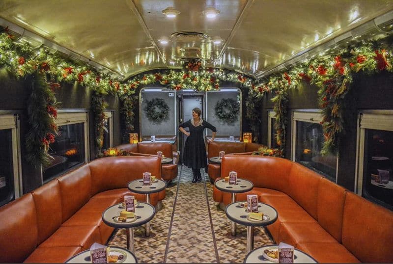 Bozzy Polar Express Trains