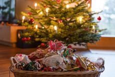 Holiday Waste Initiatives Article Thubnail