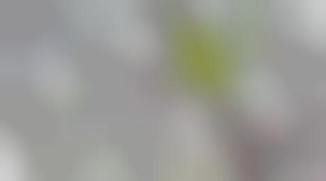 Butt Crack Piercing: Barbells for Backs