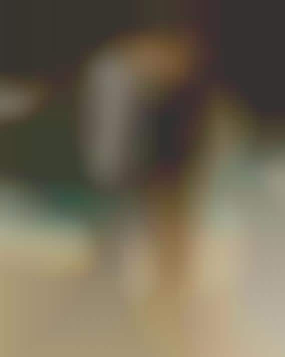 Sleepwalking Fantasies