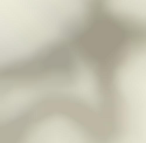 Glimmering Bra Straps