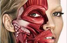 Skinned Supermodels