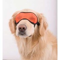 Sunglasses for Dogs