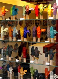 Kaleidoscopic Veneziatography Image 3