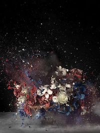 Exploding Flowers Image 2