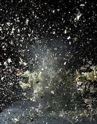 Exploding Flowers Image 4
