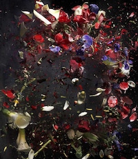 Exploding Flowers Image 6