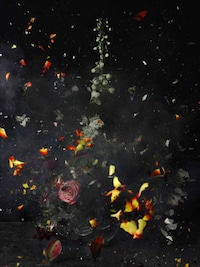 Exploding Flowers Image 7
