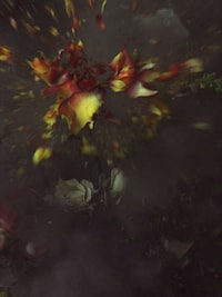 Exploding Flowers Image 8