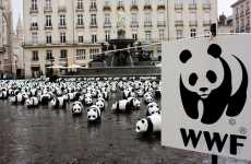 Urban Micro Pandas